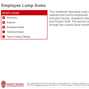 viz thumbnail for Employee Lump Sums